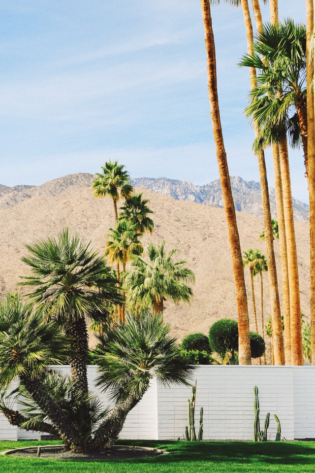 Warm Winter Travel Destinations: Palm Springs, California